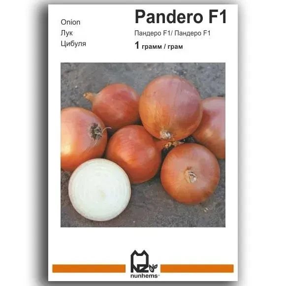 Насіння цибулі Пандеро F1, 1 г — середньопізній (115-120 днів), АгроПак