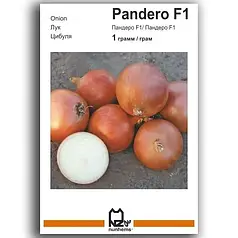 Насіння цибулі Пандеро F1, 1 г — середньопізній (115-120 днів), АгроПак