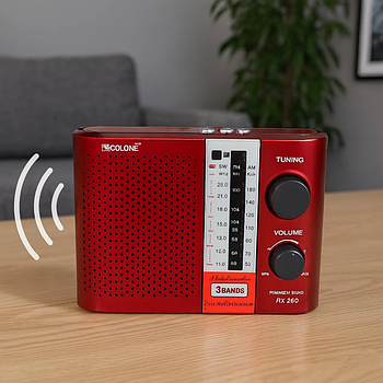 Портативний радіоприймач акумуляторний RX F12 / Радіо на батарейках / FM радіоприймач / Радіо-програвач