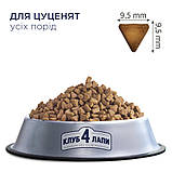 Корм Клуб 4 Лапи для цуценят усіх порід з куркою 14кг, фото 2