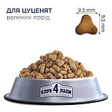 Корм Клуб 4 Лапи для цуценят великих порід з куркою 14кг, фото 2