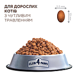 Корм Клуб 4 Лапи для котів з чутливим травленням 14кг, фото 2