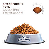 Корм Клуб 4 Лапи для котів без доступу на вулицю Indoor 4 in 1 14кг, фото 2