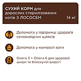 Сухий корм Клуб 4 Лапи для стерилізованих котів з лососем 14кг, фото 3