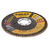 Круг пелюстковий торцевий Т29 (конічний) Ø 125 мм P100 SIGMA (9172651), фото 3