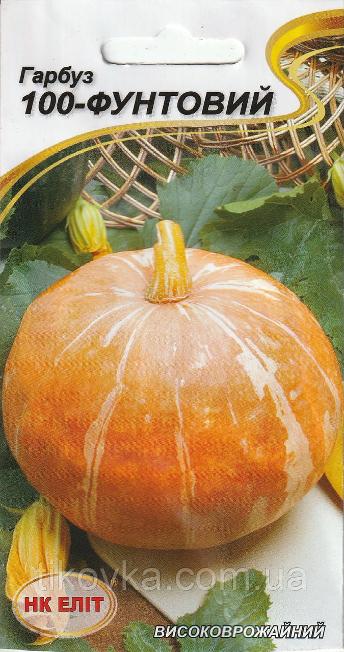 Насіння гарбуза 100-фунтовий 10 шт. НК Еліт, фото 1