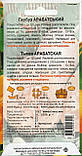 Насіння гарбуза Арабатський 10 шт. НК Еліт, фото 7
