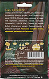 Насіння буряк Борщовий 10 г НК Еліт, фото 2