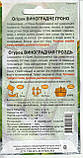 Насіння огірків Виноградне гроно 1 г НК Еліт, фото 4