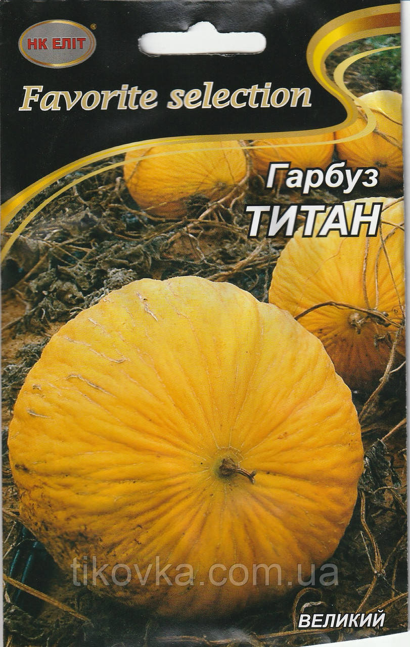 Насіння гарбуза Титан 10 г  НК Еліт, фото 1