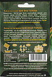 Насіння капусти білокачанної Кам'яна голова 5 г НК Еліт, фото 4