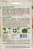 Насіння лука Галант 10 г НК Еліт, фото 4