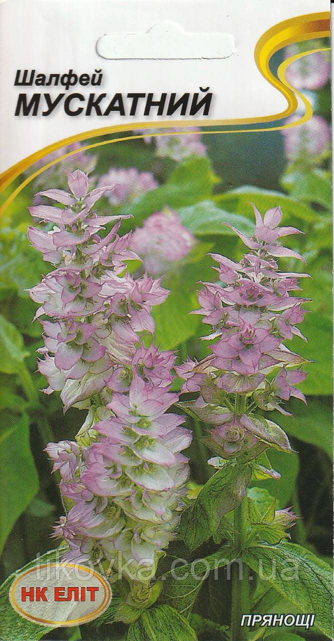 Насіння шавлії Мускатний 0,2 г НК Еліт, фото 1