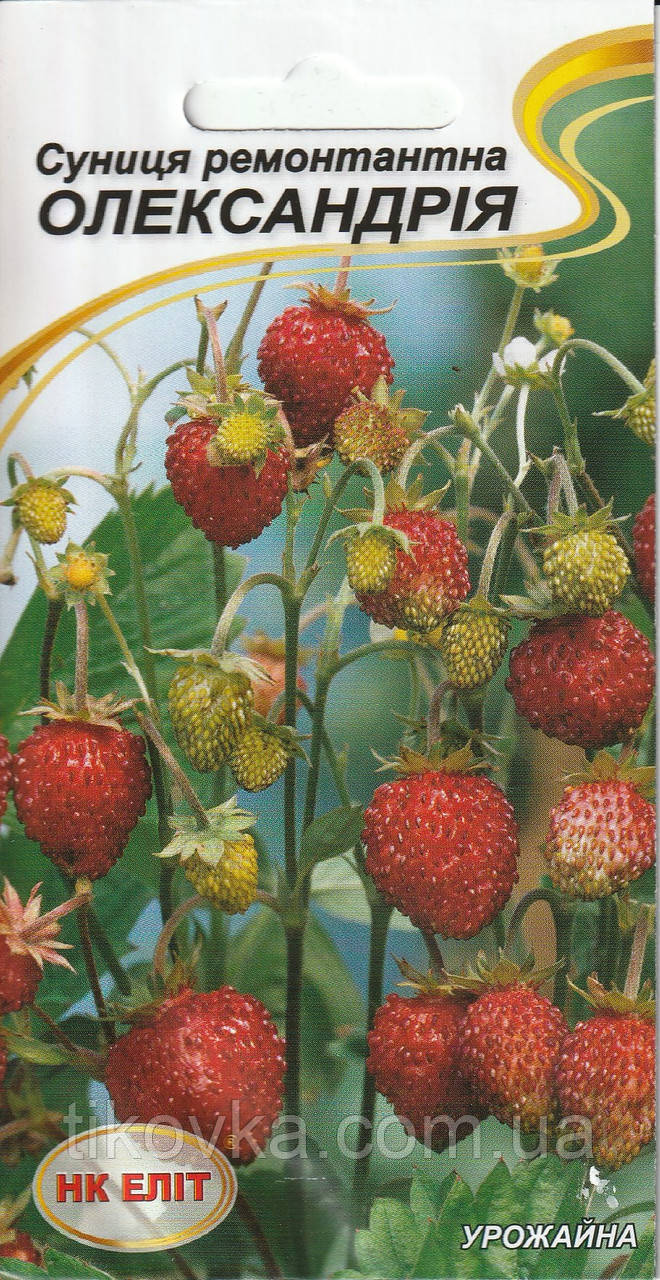 Насіння суниці Олександрія 0,5 г НК Еліт, фото 1