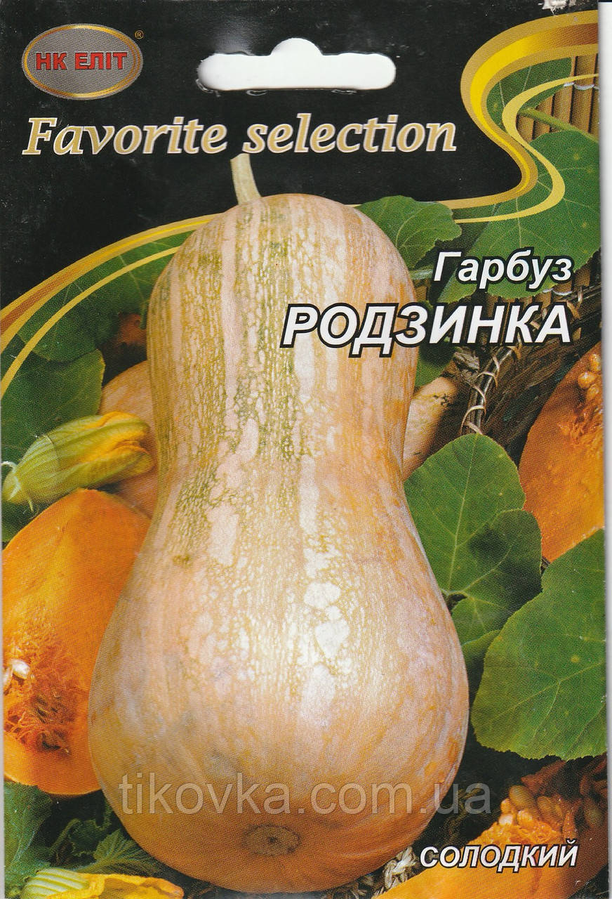 Насіння гарбуза Родзинка 10 шт. НК Еліт, фото 1
