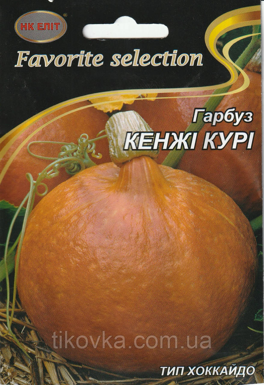Насіння гарбуза Кенжі Курі 10 г НК Еліт, фото 1