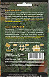 Насіння кропу Амброзія 20 г НК Еліт, фото 2