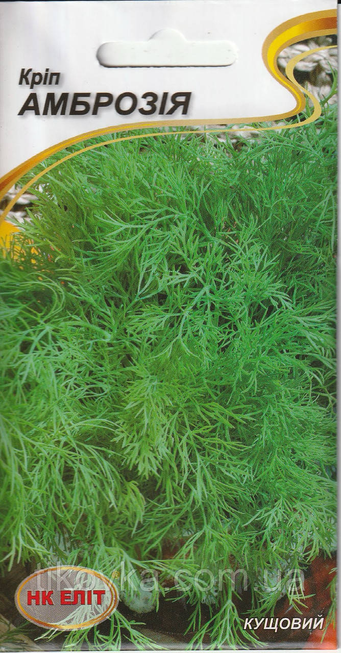 Насіння кропу Амброзія 3 г НК Еліт, фото 1