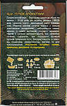 Насіння кропу Пучок ароматний 20 г НК Еліт, фото 2