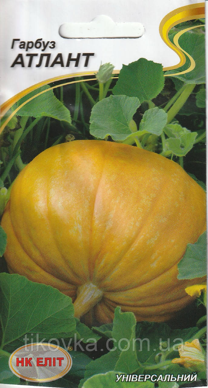Насіння гарбуза Атлант. гігант 10 г НК Еліт, фото 1