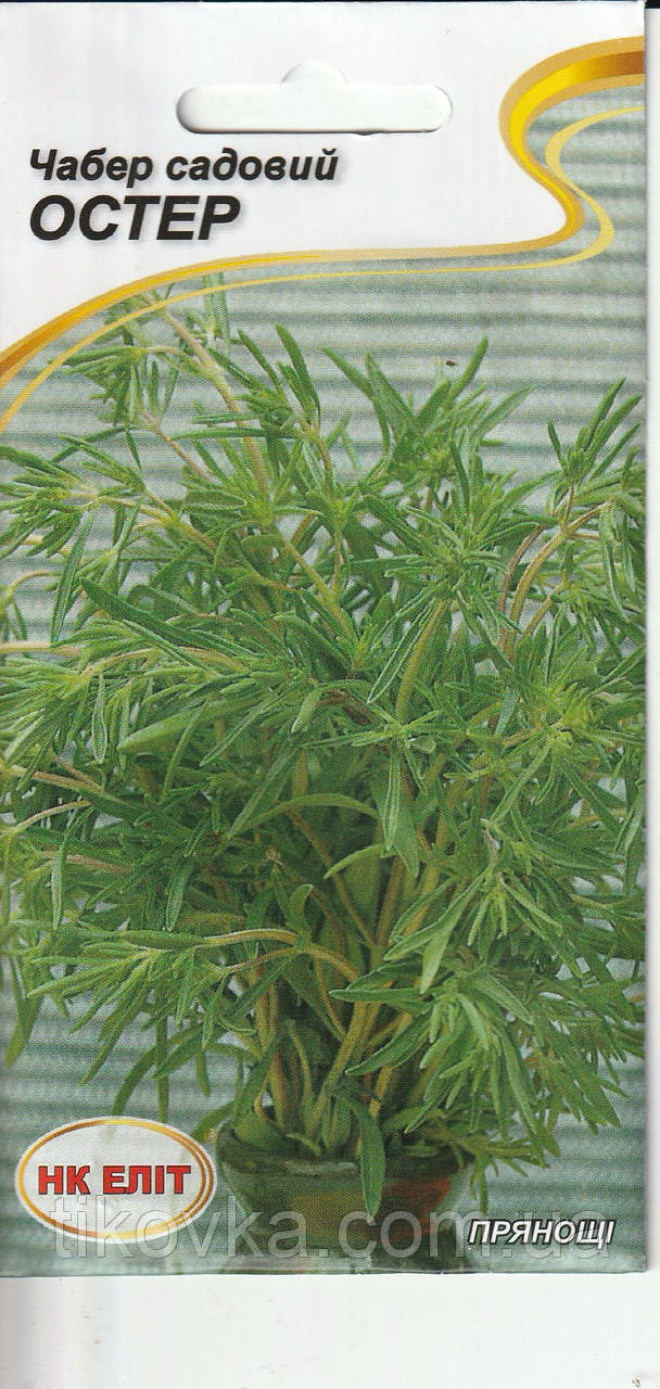 Насіння чабер садовий Остер 0,1 НК Еліт, фото 1