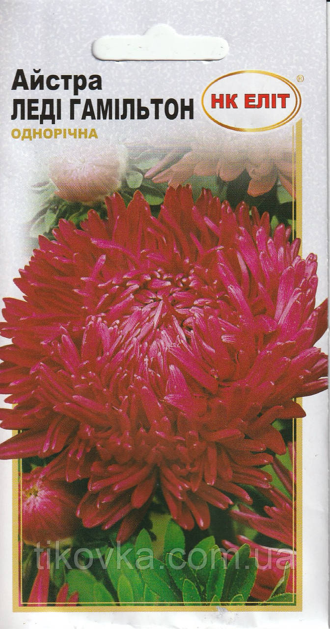 Насіння квітів Айстра Леді Гамільтон 0,3 г НК Еліт, фото 1