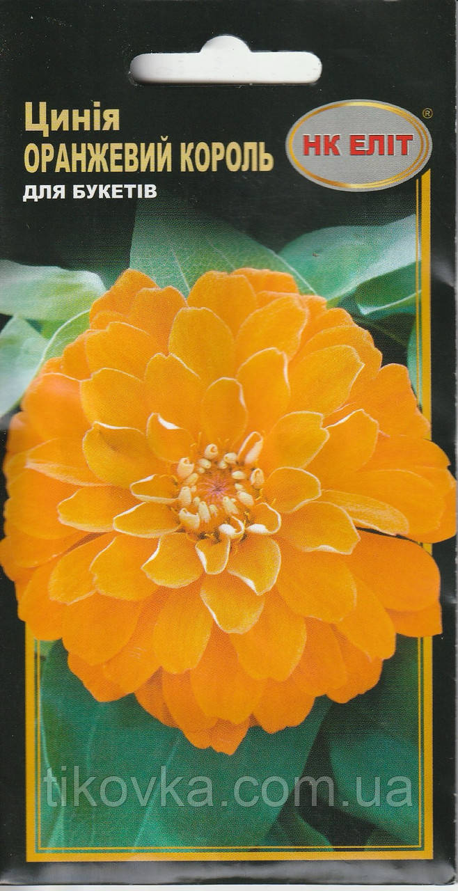 Насіння квітів Циннія Оранжевий король 0,5 г НК Еліт, фото 1