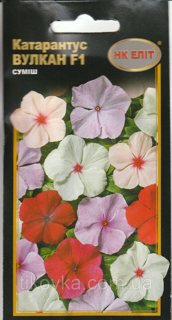 Насіння квітів Катарантус Вулкан суміш 10 шт. НК Еліт, фото 1
