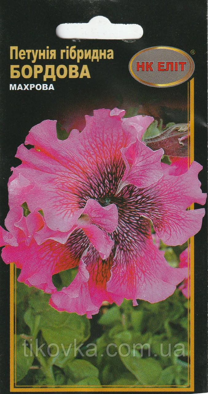 Насіння квітів Петунія Бордова махрова 10 шт. НК Еліт, фото 1