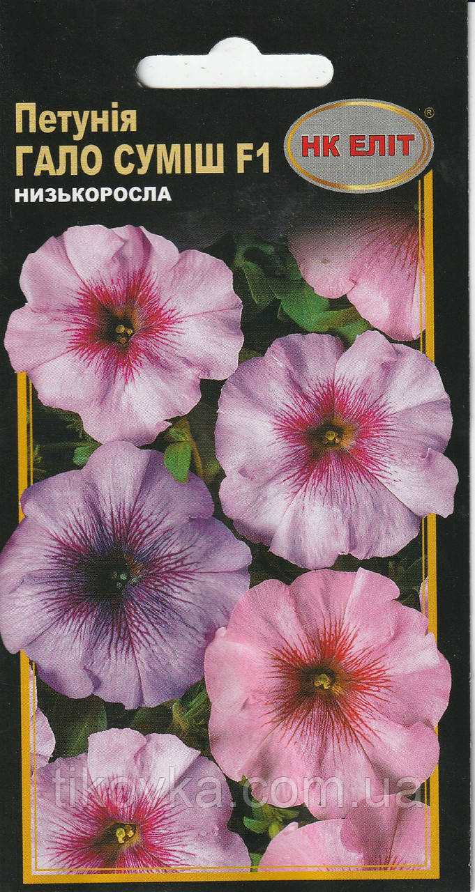 Насіння квітів Петунія великоквіткова Гало F1 10 шт. НК Еліт, фото 1
