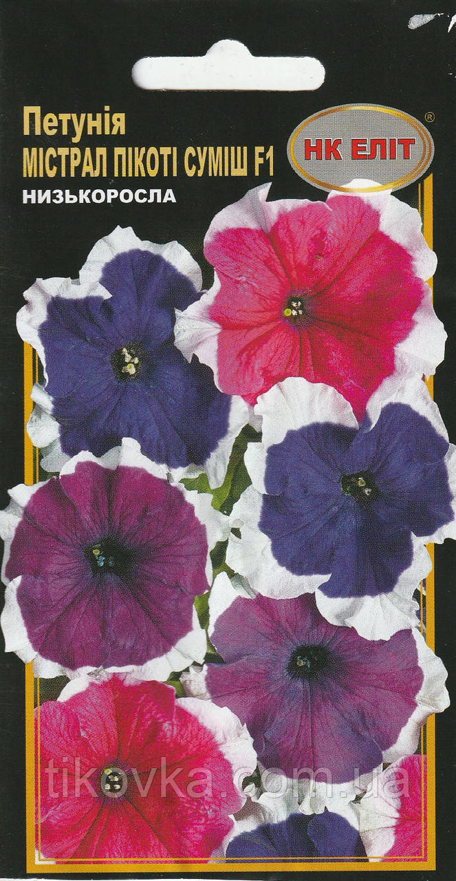 Насіння квітів Петунія Містрал Пікоті F1 10 шт. НК Еліт, фото 1