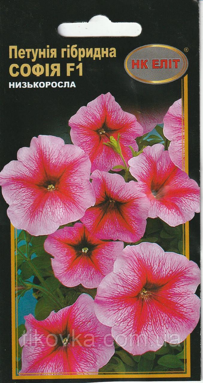 Насіння квітів Петунія Софія F1 10 шт. НК Еліт, фото 1