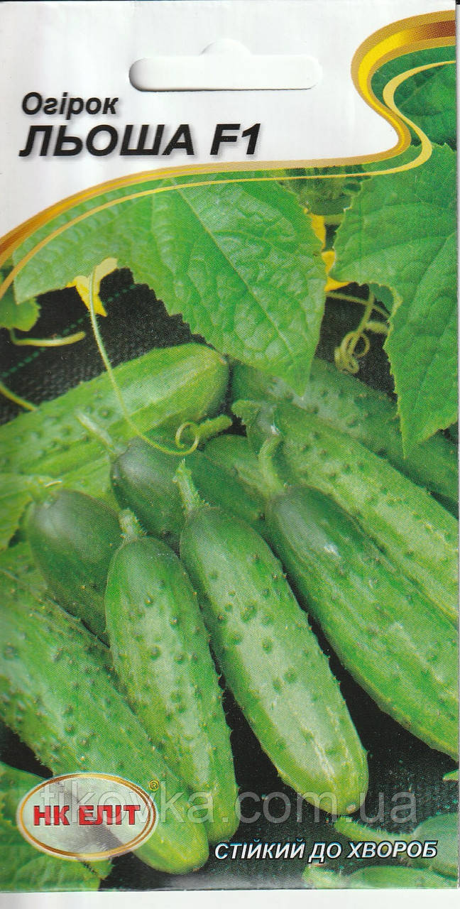 Насіння огірків Льоша F1 15 шт НК Еліт, фото 1