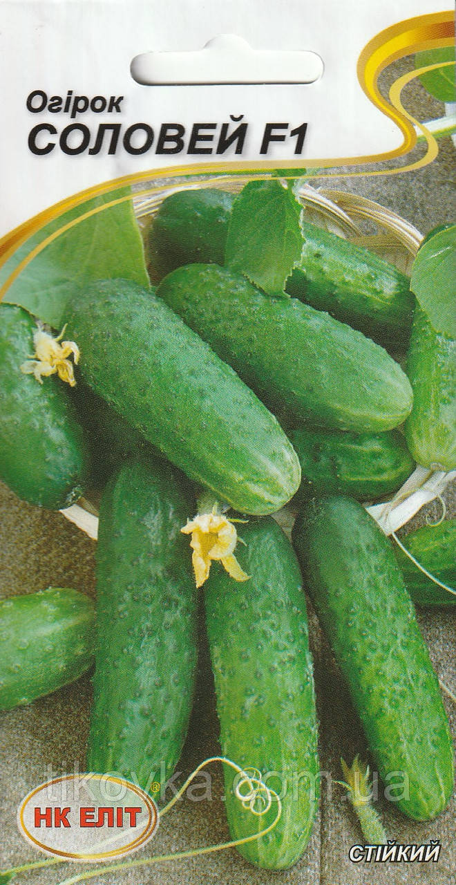 Насіння огірків Соловей F1 15 шт НК Еліт, фото 1