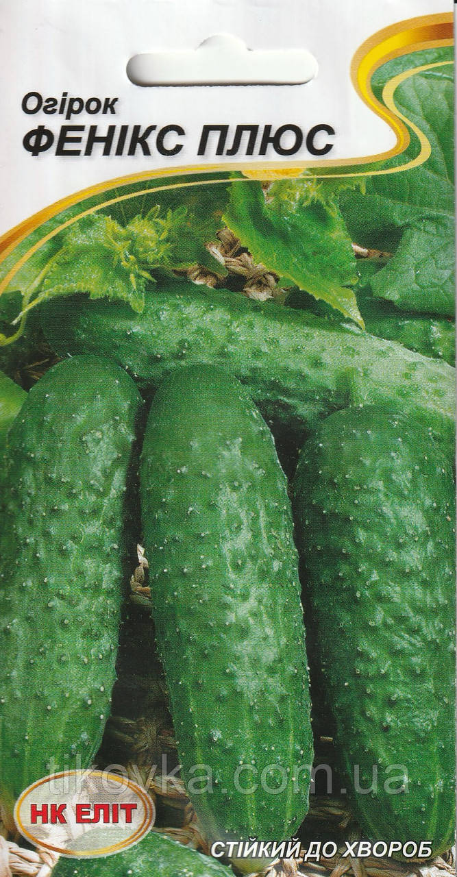 Насіння огірків Фенікс плюс 1 гр НК Еліт, фото 1