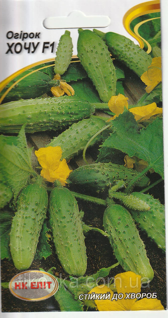 Насіння огірків Хочу F1 1 гр НК Еліт, фото 1
