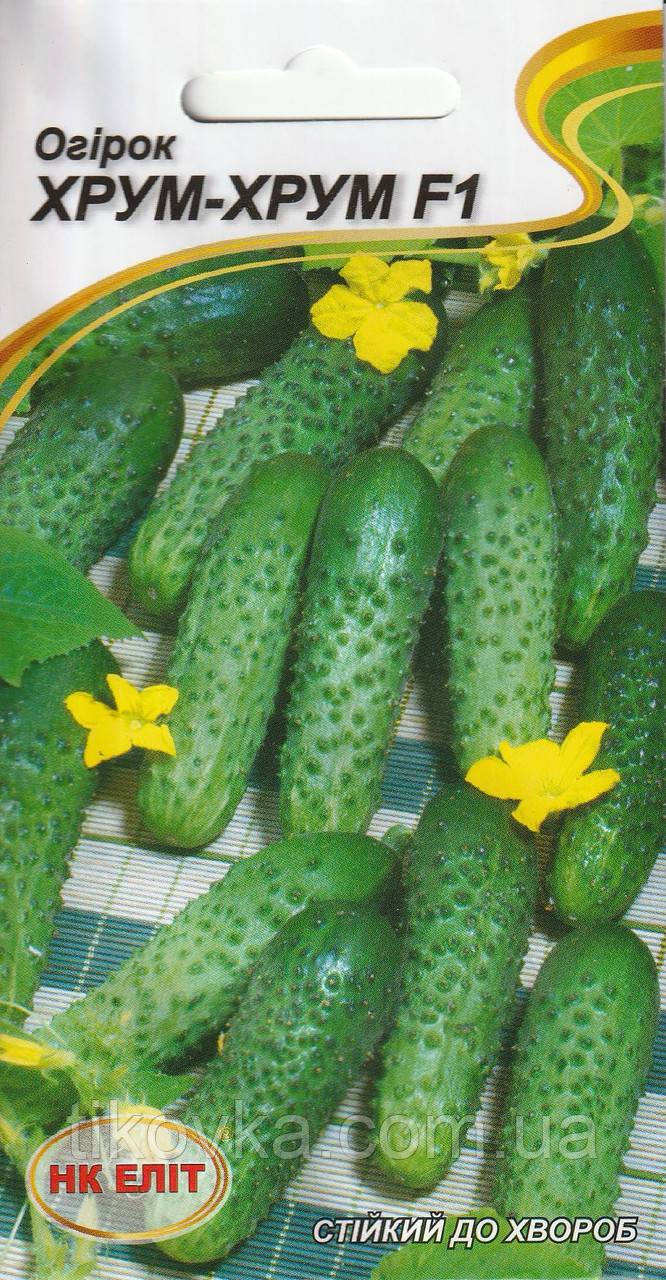 Насіння огірків Хрум хрум F1 1 гр НК Еліт, фото 1