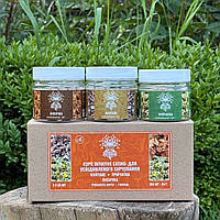 Курс Intuitive Eating Для усвідомленого харчування (1 місяць) Лісовик