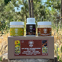 Курс Детокс Чага Трійчатка Лисичка Арніка (1 місяць) Лісовик