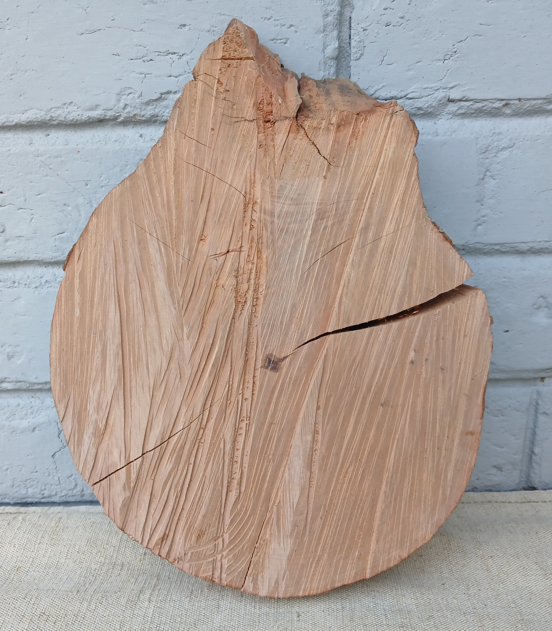 Натуральний зріз дерева для дизайну інтер'єру, 290х210мм.