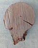 Натуральний зріз дерева для дизайну інтер'єру, 290х210мм., фото 7
