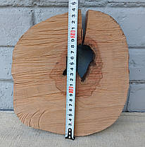 Зріз дерева для декоративного мистецтва, d 240х220мм., фото 4