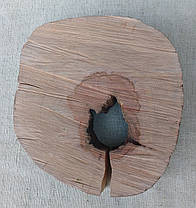 Зріз дерева для декоративного мистецтва, d 240х220мм., фото 5