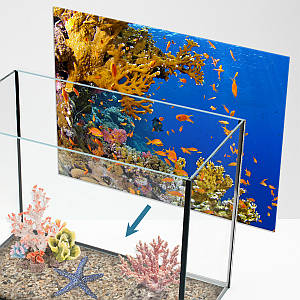 Морський світ під водою на наклейці для акваріума 40х65 см (650х400)