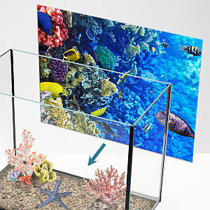 Підводний світ в акваріум наклейка, в різних розмірах 40х65 см (650х400)