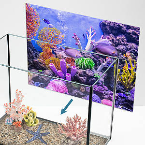 Підводний світ в акваріум наклейка, в різних розмірах 40х65 см (650х400)