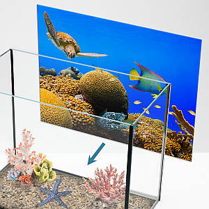 Підводний світ в акваріум наклейка, в різних розмірах 40х65 см (650х400)