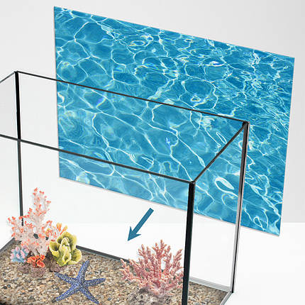 Наклейка з рибами і морською флорою для акваріума 40х65 см (650х400), фото 1