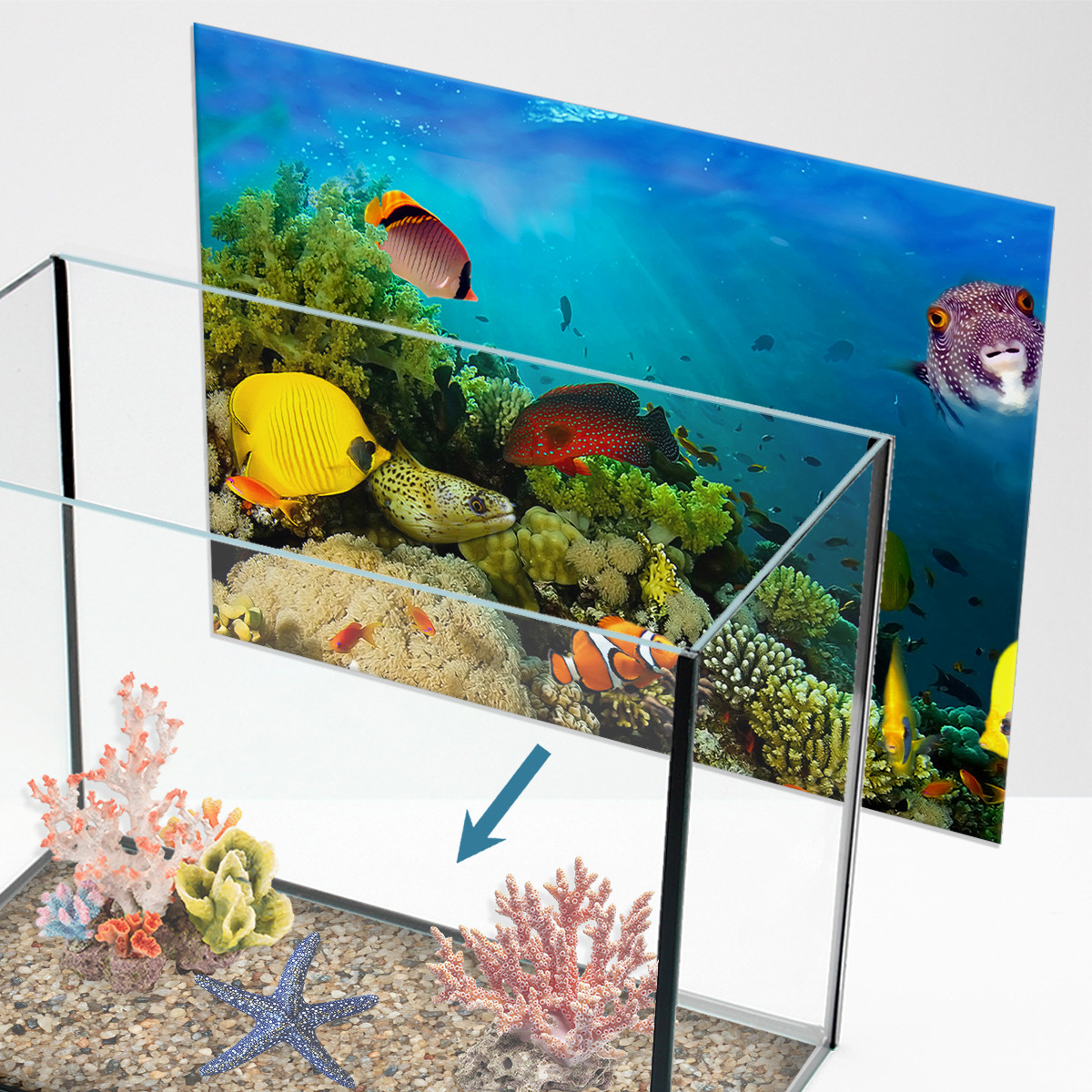 Наклейка в акваріум 3D морське дно, в різних розмірах 40х65 см (650х400)