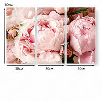 Модульна картина «Ніжні рожеві півонії» Триптих на полотні 90х60 см Стильний настінний декор для інтер’єру, фото 4